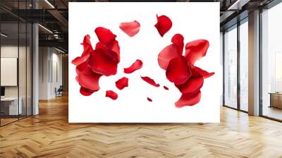 red rose flower petals scattered. Wall mural