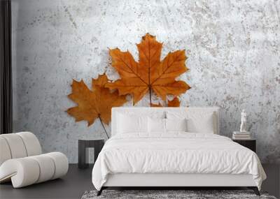 Autumn background with three maple orange leaves as family with one adult and two kids at light grey background Wall mural