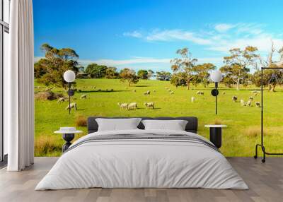 Grazing sheep in rural South Australia Wall mural