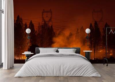 Wildfire under transmission power lines Wall mural