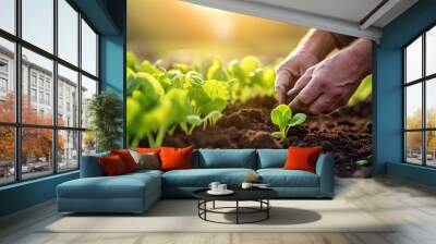 Close-up of hands planting a seedling in fertile soil with sunlight, depicting growth and agriculture. Wall mural