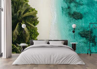 Aerial view of the tropical sandy beach and crystal clear turquoise ocean, with lush greenery and palm trees Wall mural