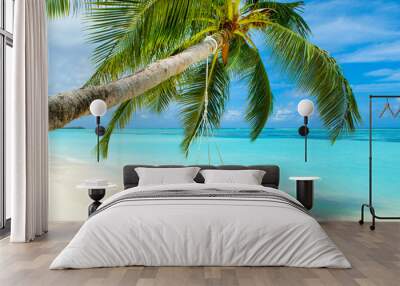 Wooden swing on a rope on a palm tree Wall mural