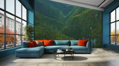 Panoramic view of coniferous forest in the mountains at sunset. Wall mural