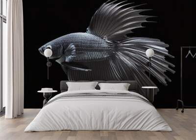 black fish isolated Wall mural