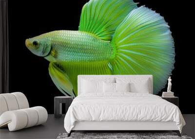 green exotic fish on isolated background Wall mural