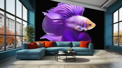 purple exotic fish on isolated background Wall mural