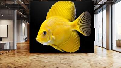 yellow exotic fish on isolated background Wall mural