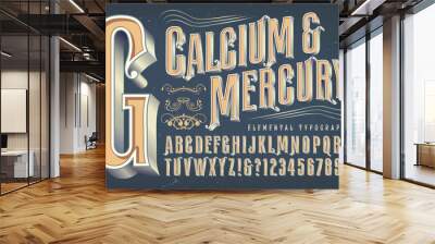 An Antique or Victorian Style Alphabet that Would Be Appropriate for Circus, Carnival, Alcohol Bottles, or Steampunk Themes Wall mural