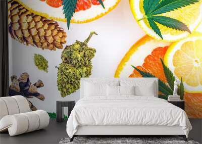 Cannabis terpenes concept with Marijuana bud lemons grapefruit leafs and pine cones Wall mural