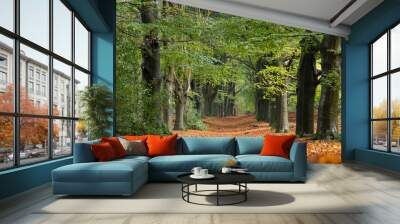 Autumn forest lane with fallen leaves Wall mural