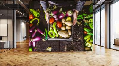 Farmer with zucchini Wall mural