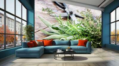 Freshly harvested herbs Wall mural