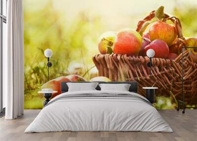 Organic apples in summer grass Wall mural