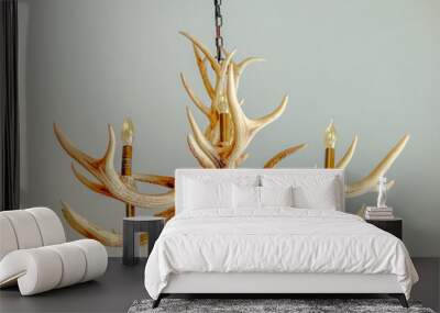 Typical chandelier found in hunting areas with wild life. This light fixture is faux antler or deer horn. It is hanging by a chain with ceiling above. Wall mural