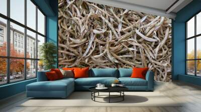 bean background Wall mural