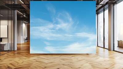 Light Blue Sky White Clouds Texture Background. Wall mural