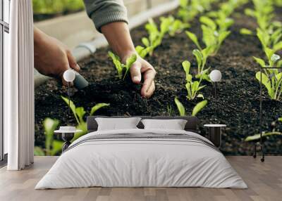 Closeup, hand and soil for planting in farming, agribusiness or gardening in greenhouse for future growth. Person, worker and tool for earth, sapling or harvest of organic produce, vegetable or agro Wall mural