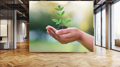 Earth day, nature plant and hands of woman with new tree life, green leaf or support agriculture sustainability growth. Fertilizer soil, dirt or environment charity volunteer with sustainable sapling Wall mural