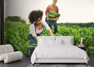 It was a great season for spinach. Shot of an attractive young female farmer working the fields with her husband in the background. Wall mural