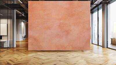 Terracotta orange texture of a wall in Italy Wall mural