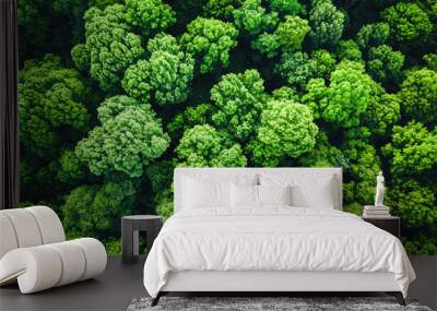 Aerial top view of green trees in forest. Drone view of dense green tree captures CO2. Green tree nature background for carbon neutrality and net zero emissions concept. Sustainable green environment Wall mural