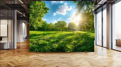 Bright colorful landscape with trees in park, juicy fresh green grass on lawn, beautiful sunlight against blue sky with clouds, summer spring. Wide format, outdoor scenery, nature background. Wall mural