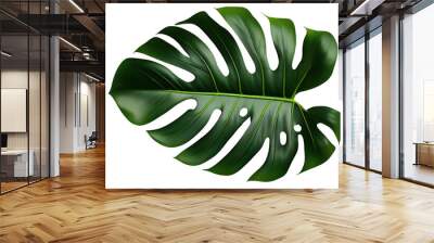 Monstera deliciosa, Large leaf tropical plant for indoor decor, 3d render, transparent background, png cutout Wall mural