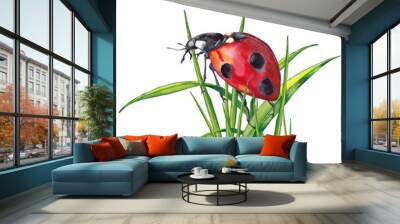 Big red ladybug on green grass. Realistic cute illustration of summer meadow wild life. Watercolor hand painted isolated element on white background. Wall mural