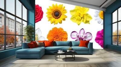 Set of various beautiful blooming flowers isolated on transparent background. Generative AI Wall mural