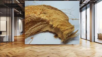 Coir, or coconut fibre, is a natural fibre extracted from the husk of coconut Wall mural