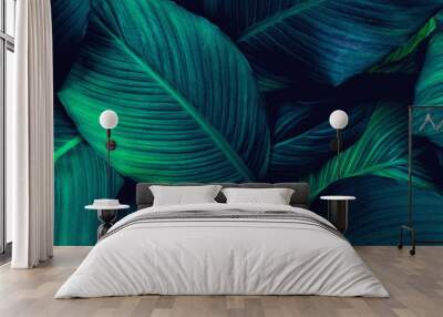 abstract green leaf background. Flat lay, fresh wallpaper banner concept Wall mural