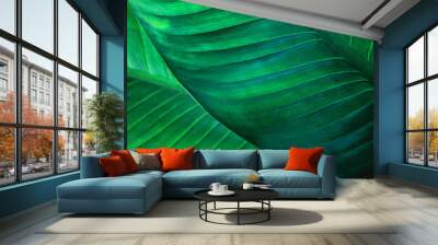 abstract green leaf texture, nature background, tropical leaf Wall mural