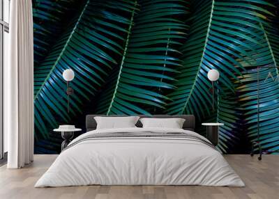 abstract palm leaf textures on dark blue tone, natural green background. Wall mural