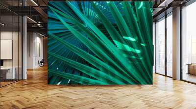 abstract palm leaf textures on dark blue tone, natural green background Wall mural