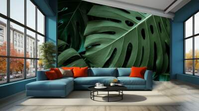 closeup monstera leaf background, tropical leaf, abstract green leaf texture Wall mural