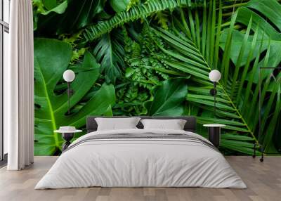 closeup nature view of fern monstera and palms background. Flat lay, dark nature concept, tropical leaf Wall mural