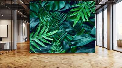 closeup nature view of green leaf and palms background. Flat lay, dark nature concept, tropical leaf Wall mural