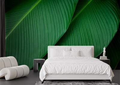 closeup nature view of green leaf texture, dark wallpaper concept, nature background, tropical leaf Wall mural