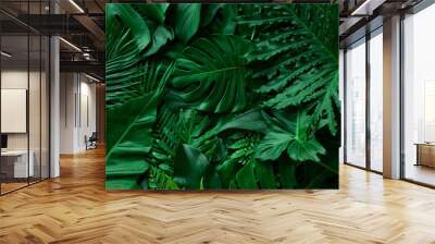 closeup nature view of green monstera leaf and palms background. Flat lay, dark nature concept, tropical leaf Wall mural