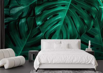 closeup nature view of green monstera leaf background. Flat lay, dark nature concept, tropical leaf Wall mural