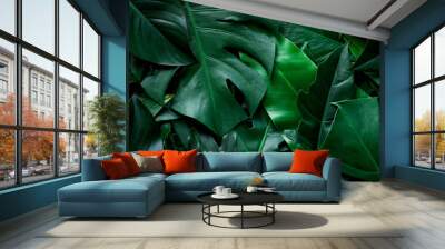 closeup nature view of tropical green monstera leaf background. Flat lay, fresh wallpaper banner concept Wall mural