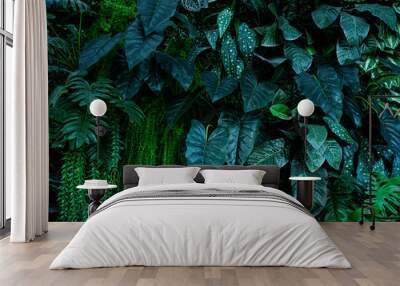 closeup nature view of tropical leaves, Background with dark green tropical leaf. Wall mural