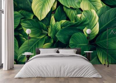 closeup tropical green leaves texture and dark tone process, abstract nature pattern background. Wall mural