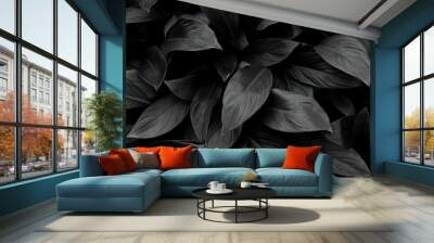 closeup tropical leaves nature in the garden and monochrome tone background concept Wall mural