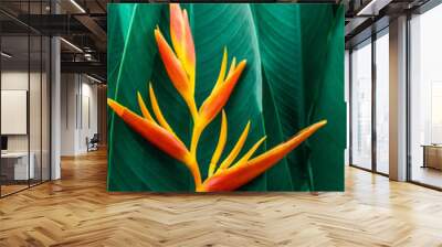 colorful exotic flower on dark tropical foliage nature background, tropical leaf Wall mural