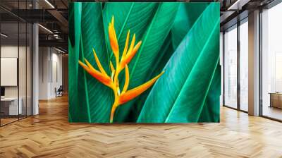 colorful exotic flower on dark tropical foliage nature background, tropical leaf Wall mural