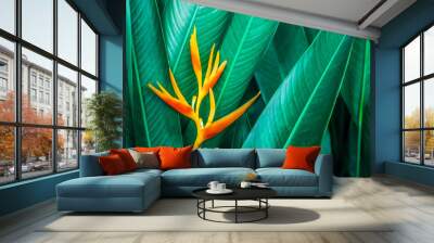 colorful exotic flower on dark tropical foliage nature background, tropical leaf Wall mural