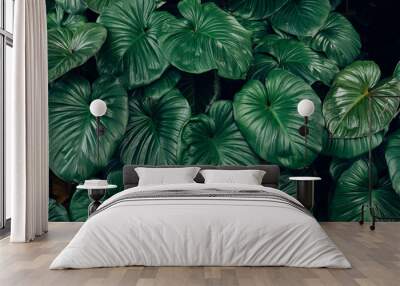 Full Frame of Green Leaves Pattern Background, Nature Lush Foliage Leaf Texture, tropical leaf Wall mural