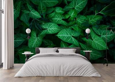 Full Frame of Green Leaves Pattern Background, Nature Lush Foliage Leaf Texture, tropical leaf Wall mural